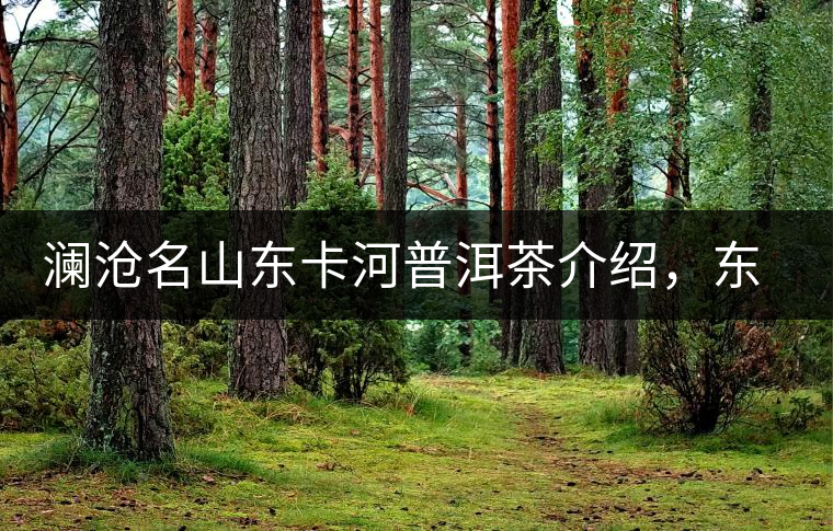 瀾滄名山東卡河普洱茶介紹,東卡河古樹茶口感特點 瀾滄名山東卡河普洱茶介紹,東卡河古樹茶口感特點