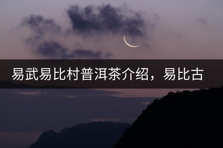 易武易比村普洱茶介紹，易比古樹茶口感特點(diǎn)