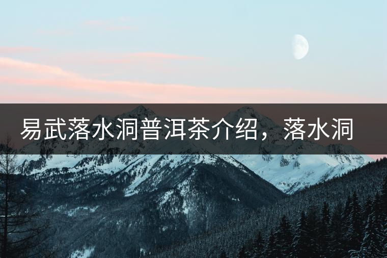 易武落水洞普洱茶介紹,落水洞古樹茶口感特點 易武落水洞普洱茶介紹,落水洞古樹茶口感特點