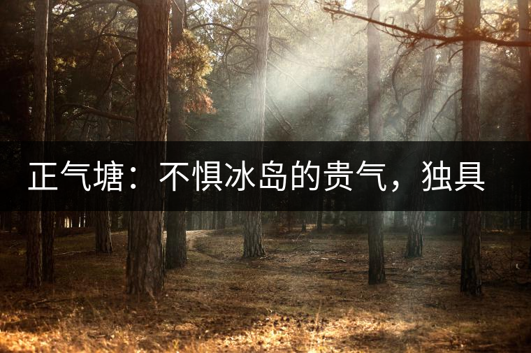 正氣塘：不懼冰島的貴氣，獨具冰島之魅力