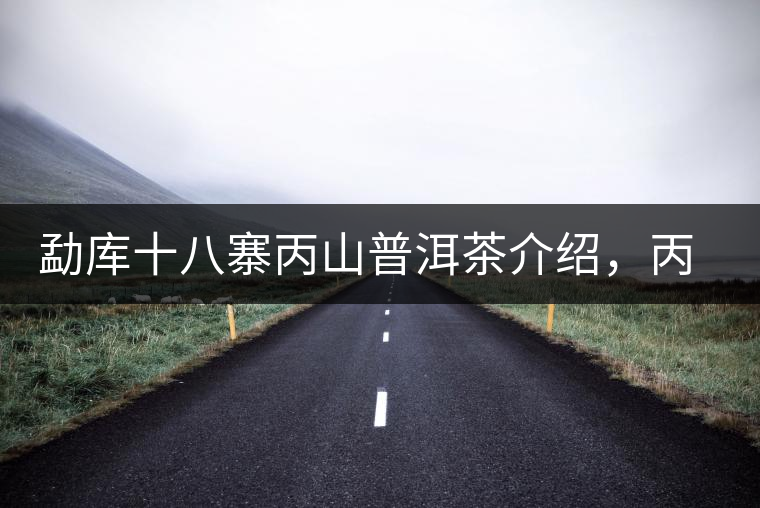 勐庫十八寨丙山普洱茶介紹,丙山古樹茶口感特點 勐庫十八寨丙山普洱茶介紹,丙山古樹茶口感特點