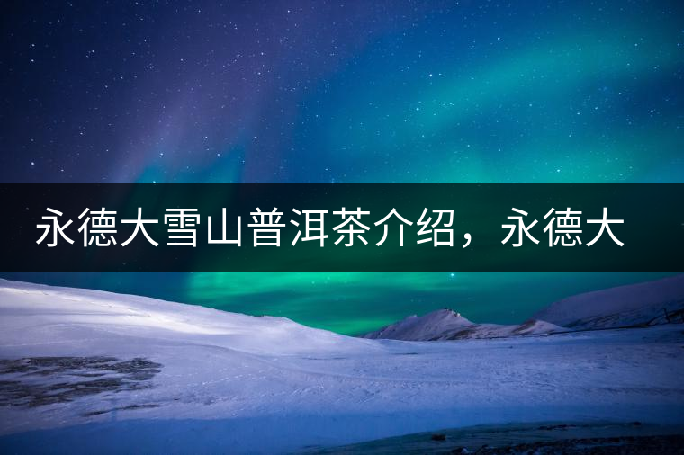 永德大雪山普洱茶介紹,永德大雪山古樹茶口感特點 永德大雪山普洱茶介紹,永德大雪山古樹茶口感特點