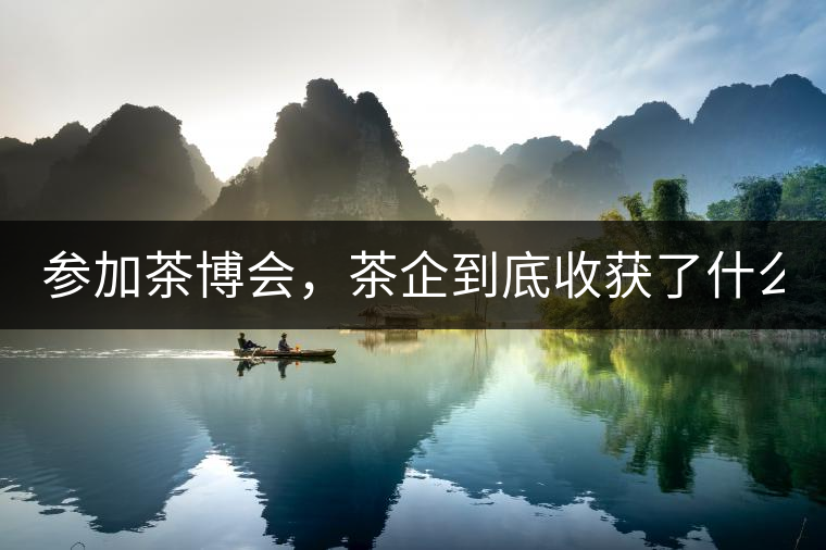 參加茶博會,茶企到底收獲了什么? 參加茶博會,茶企到底收獲了什么?