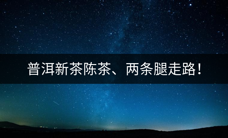 普洱新茶陳茶、兩條腿走路！