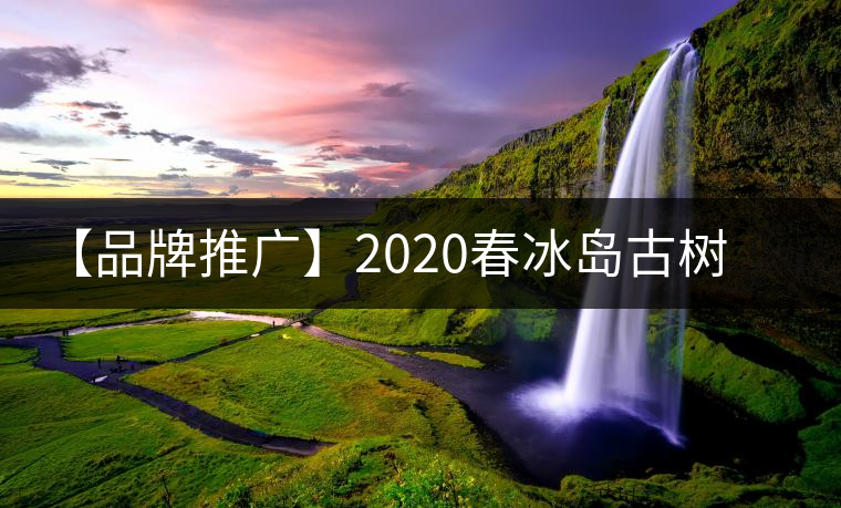 【品牌推廣】2020春冰島古樹普洱茶特級生茶餅茶葉多規格久樽正品 【品牌推廣】2020春冰島古樹普洱茶特級生茶餅茶葉多規格久樽正品