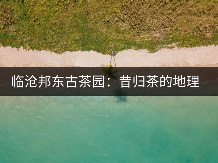 臨滄邦東古茶園:昔歸茶的地理位置及口感特點介紹 臨滄邦東古茶園:昔歸茶的地理位置及口感特點介紹