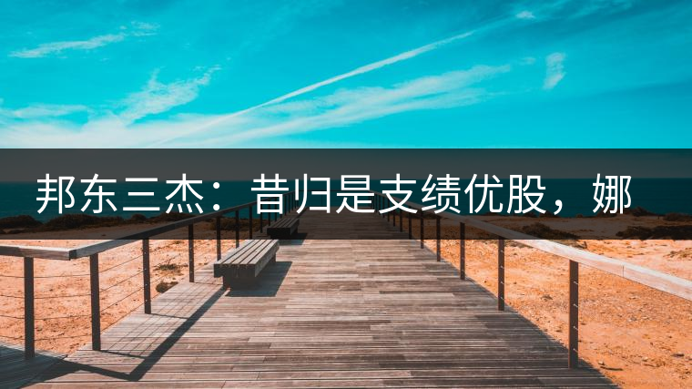 邦東三杰：昔歸是支績優股，娜罕是支潛力股