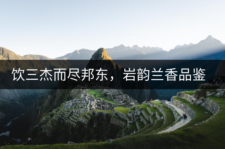 飲三杰而盡邦東，巖韻蘭香品鑒：生于山石上，韻味正當