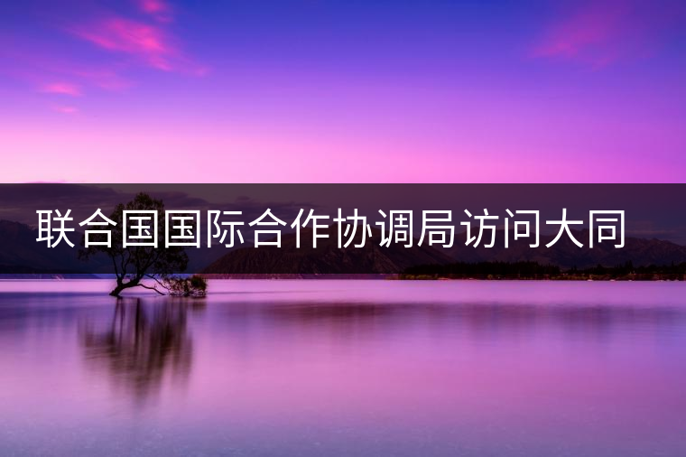 聯(lián)合國(guó)國(guó)際合作協(xié)調(diào)局訪問(wèn)大同世界總部 聯(lián)合國(guó)國(guó)際合作協(xié)調(diào)局訪問(wèn)大同世界總部