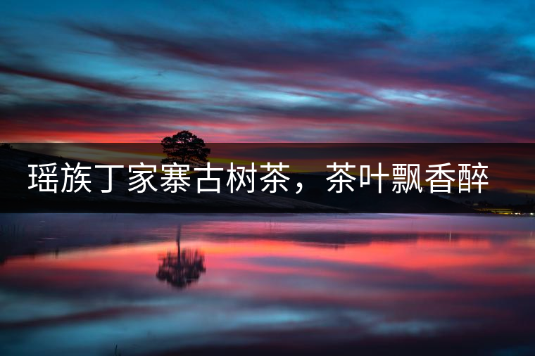 瑤族丁家寨古樹茶，茶葉飄香醉萬家