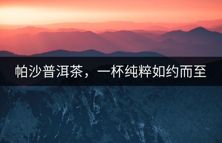 帕沙普洱茶,一杯純粹如約而至 帕沙普洱茶,一杯純粹如約而至