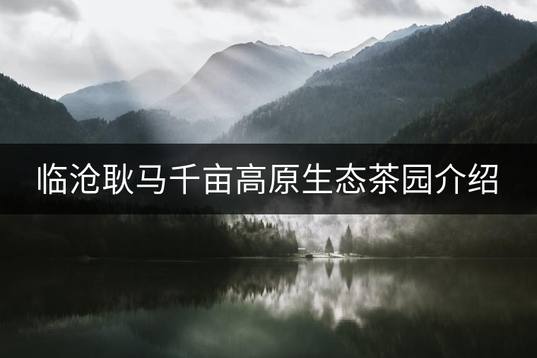 臨滄耿馬千畝高原生態茶園介紹