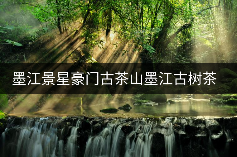 墨江景星豪門古茶山墨江古樹茶介紹 墨江景星豪門古茶山墨江古樹茶介紹