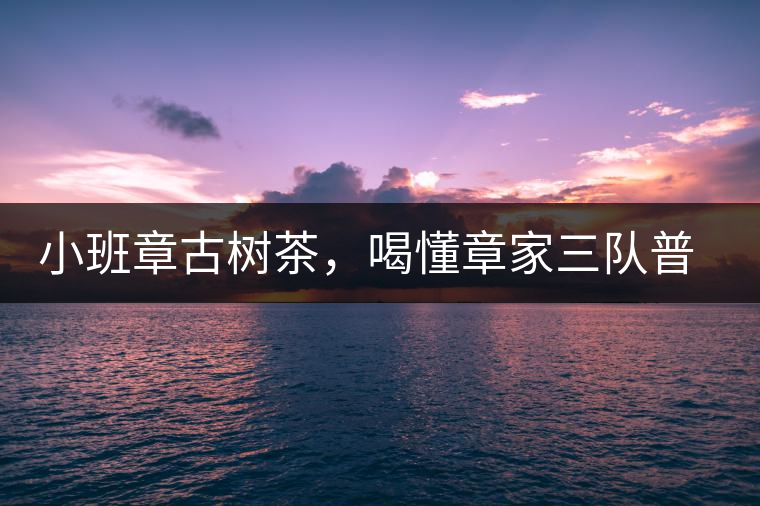 小班章古樹茶,喝懂章家三隊普洱茶 小班章古樹茶,喝懂章家三隊普洱茶