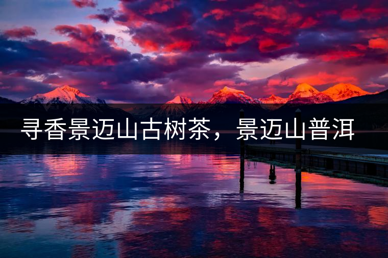 尋香景邁山古樹茶，景邁山普洱茶特點介紹