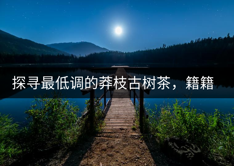 探尋最低調的莽枝古樹茶,籍籍無名出好茶 探尋最低調的莽枝古樹茶,籍籍無名出好茶