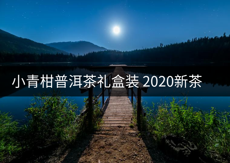 小青柑普洱茶禮盒裝 2020新茶新會陳皮柑普洱茶云南熟茶葉250克