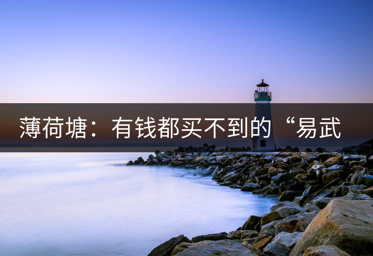 薄荷塘：有錢都買不到的“易武貴胄”，卓爾不群，無茶可及