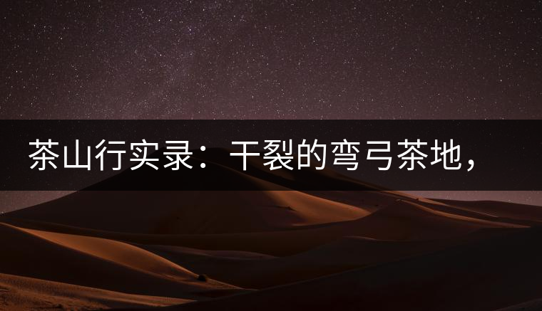 茶山行實錄:干裂的彎弓茶地,干旱減產(chǎn)已成定局 茶山行實錄:干裂的彎弓茶地,干旱減產(chǎn)已成定局