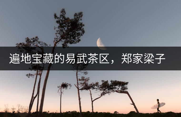 遍地寶藏的易武茶區(qū)，鄭家梁子荒田村古樹茶介紹