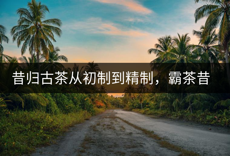昔歸古茶從初制到精制,霸茶昔歸茶農專業合作社成立 昔歸古茶從初制到精制,霸茶昔歸茶農專業合作社成立