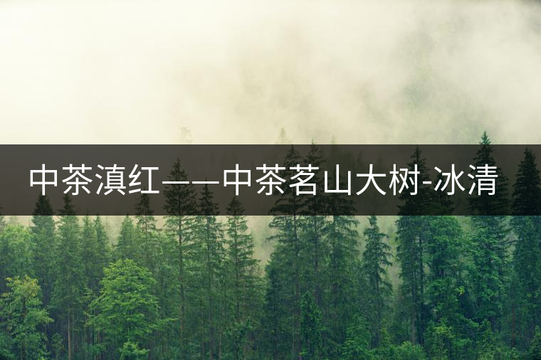 中茶滇紅——中茶茗山大樹-冰清紅袖②號(hào)