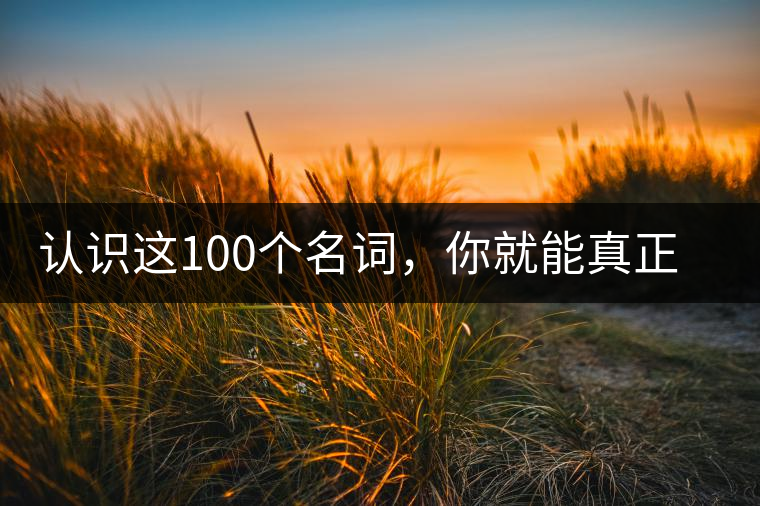 認識這100個名詞，你就能真正了解普洱茶？