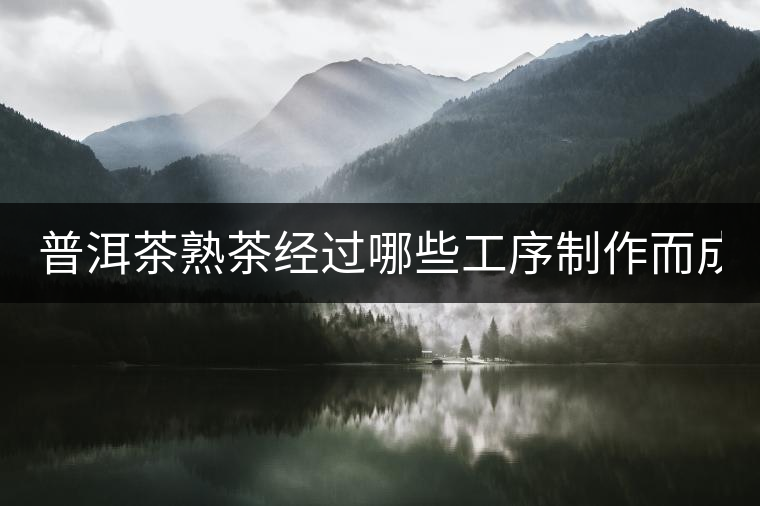 普洱茶熟茶經過哪些工序制作而成? 普洱茶熟茶經過哪些工序制作而成?