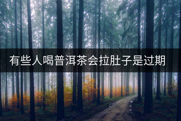 有些人喝普洱茶會拉肚子是過期了嗎? 有些人喝普洱茶會拉肚子是過期了嗎?