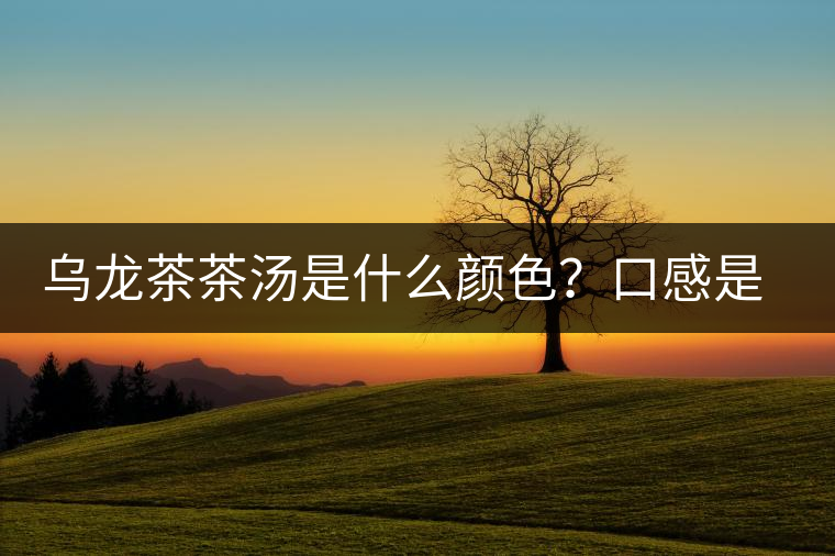 烏龍茶茶湯是什么顏色?口感是什么? 烏龍茶茶湯是什么顏色?口感是什么?