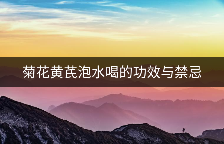 菊花黃芪泡水喝的功效與禁忌 菊花黃芪泡水喝的功效與禁忌