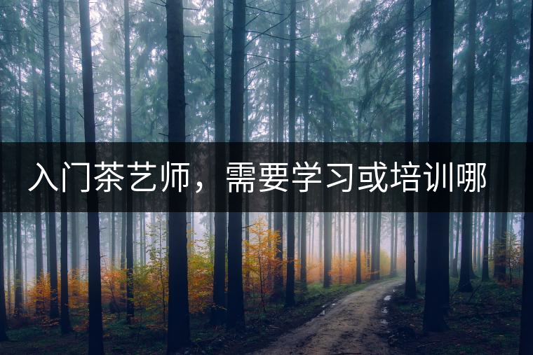 入門茶藝師，需要學習或培訓哪些知識