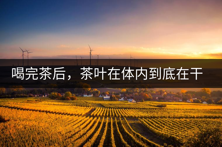 喝完茶后，茶葉在體內到底在干嘛，游走的茶水