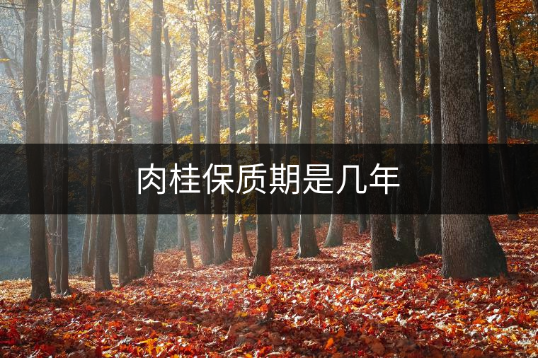 肉桂保質期是幾年