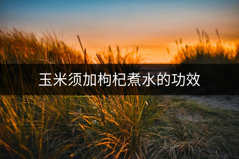 玉米須加枸杞煮水的功效