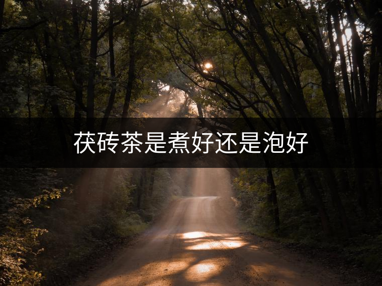 茯磚茶是煮好還是泡好 茯磚茶是煮好還是泡好