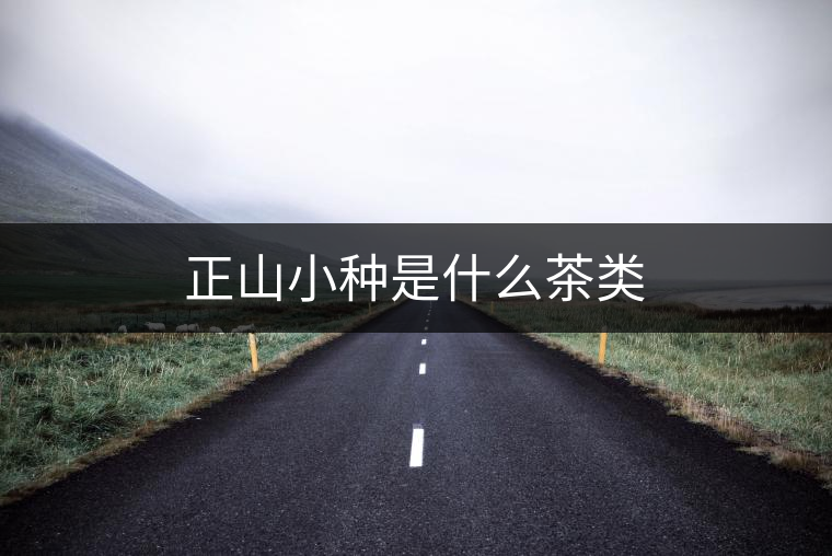 正山小種是什么茶類(lèi)