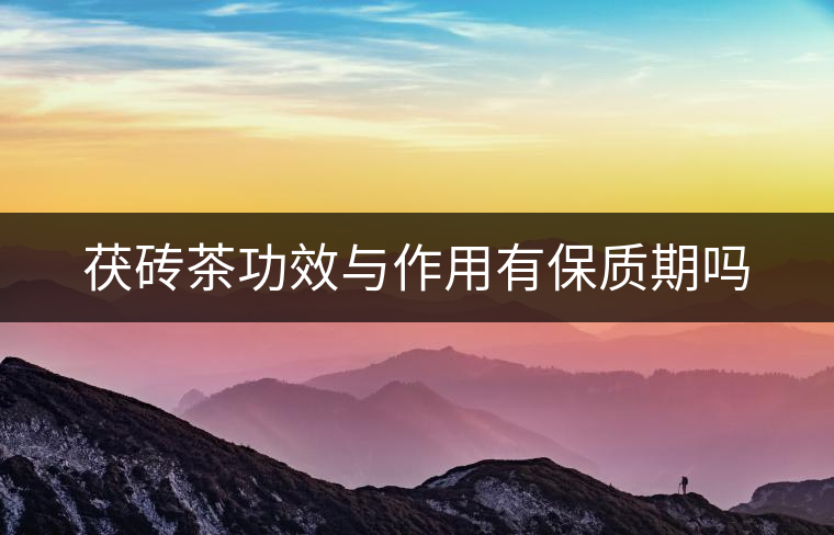 茯磚茶功效與作用有保質期嗎