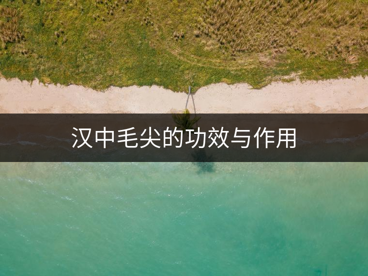 漢中毛尖的功效與作用