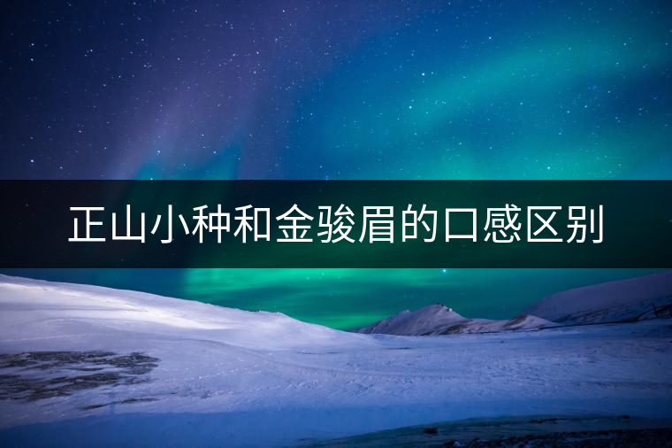 正山小種和金駿眉的口感區(qū)別 正山小種和金駿眉的口感區(qū)別