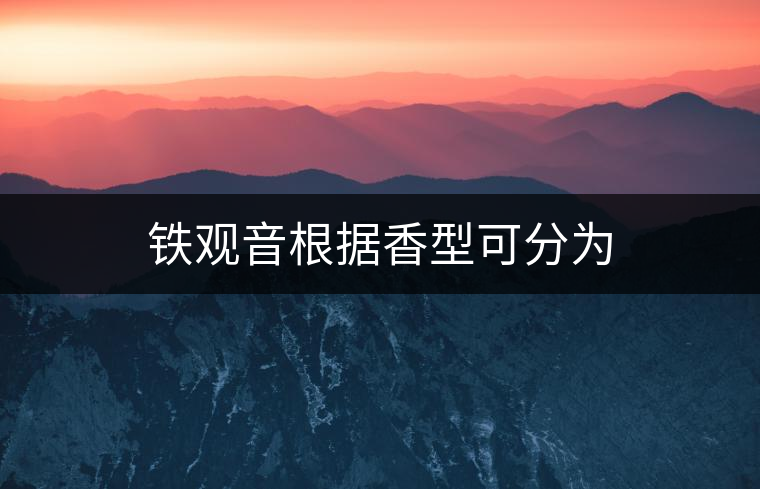 鐵觀音根據香型可分為