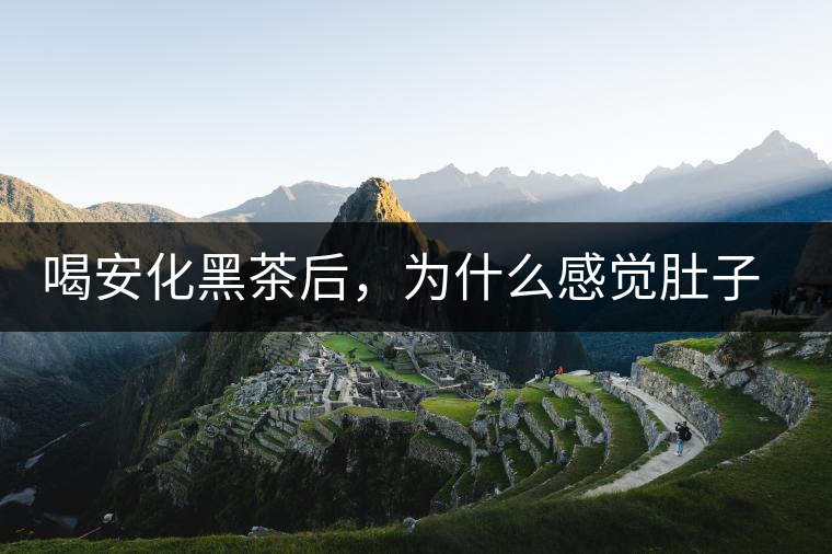 喝安化黑茶后，為什么感覺肚子餓的快？