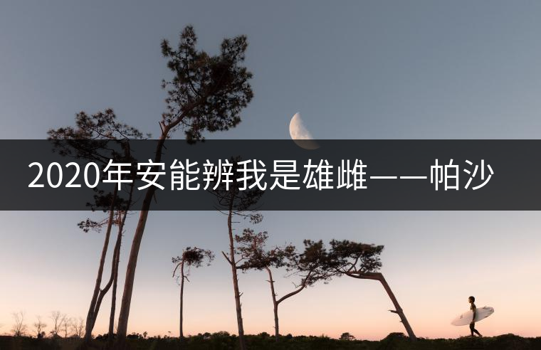 2020年安能辨我是雄雌——帕沙古樹茶-易武中聘號