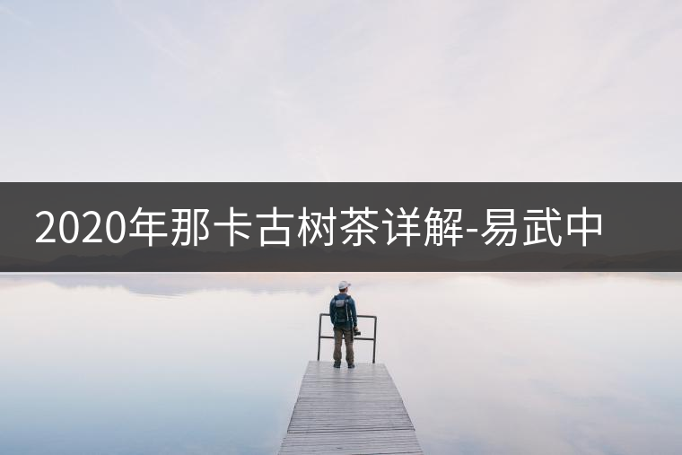 2020年那卡古樹茶詳解-易武中聘號 2020年那卡古樹茶詳解-易武中聘號