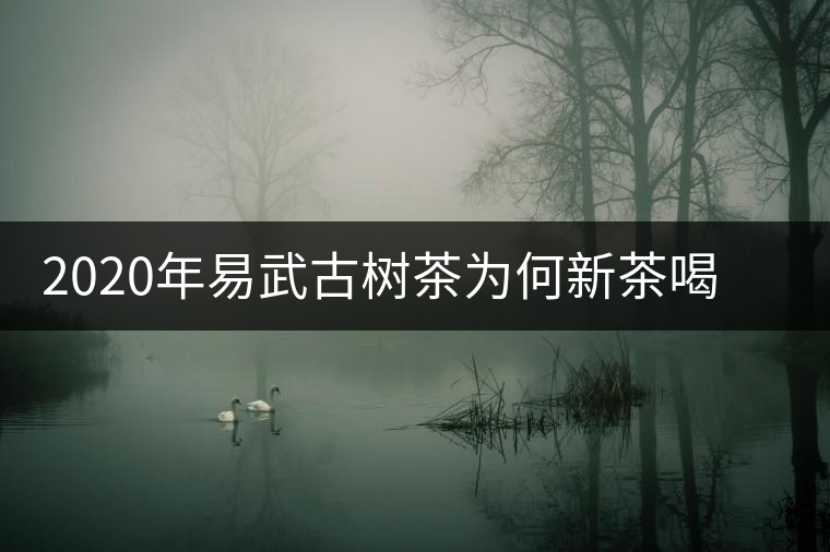 2020年易武古樹茶為何新茶喝時(shí)淡卻越放越濃？-易武中聘號(hào)
