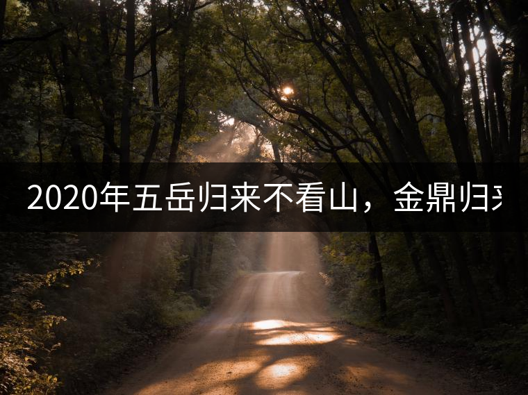 2020年五岳歸來不看山,金鼎歸來不看茶 -易武中聘號 2020年五岳歸來不看山,金鼎歸來不看茶 -易武中聘號