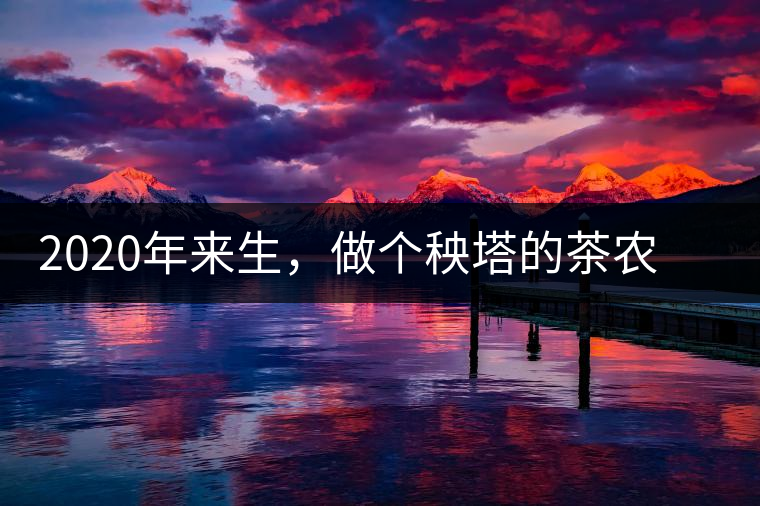 2020年來生,做個秧塔的茶農(nóng) 上樹摘茶 下樹數(shù)錢-易武中聘號 2020年來生,做個秧塔的茶農(nóng) 上樹摘茶 下樹數(shù)錢-易武中聘號