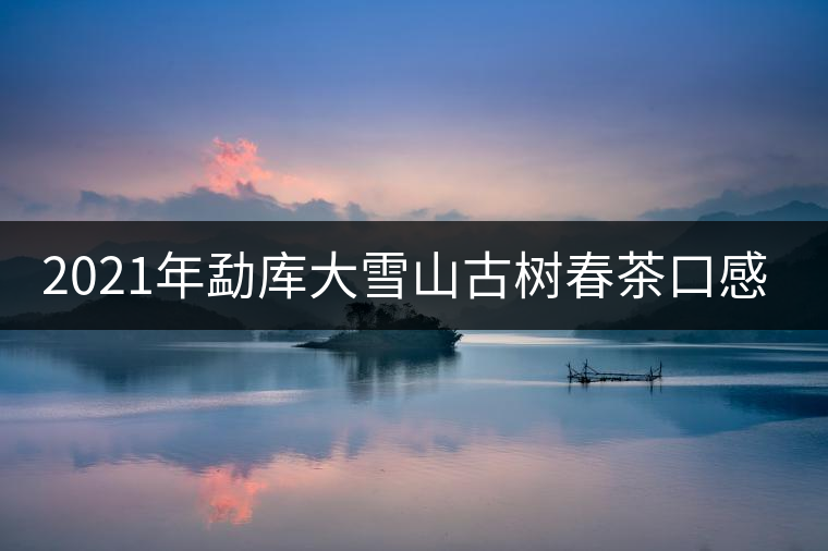 2021年勐庫大雪山古樹春茶口感特點? 2021年勐庫大雪山古樹春茶口感特點?