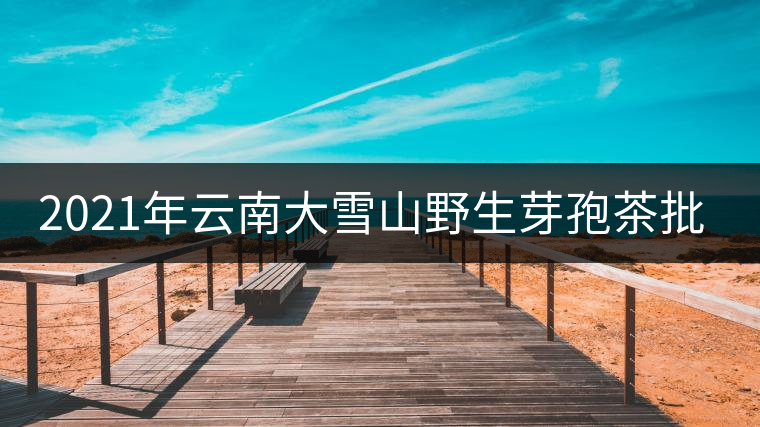 2021年云南大雪山野生芽孢茶批發