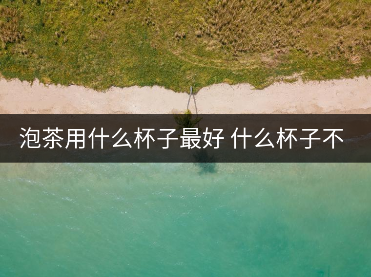 泡茶用什么杯子最好 什么杯子不能用
